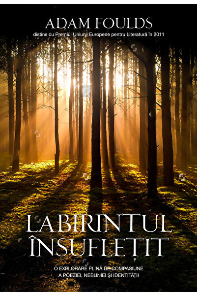 Rao Labirintul insufletit