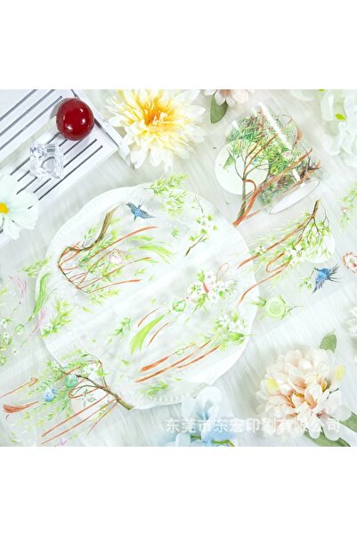 İthal Bandă PET cu ramuri de salcie cu hologramă H1-2m