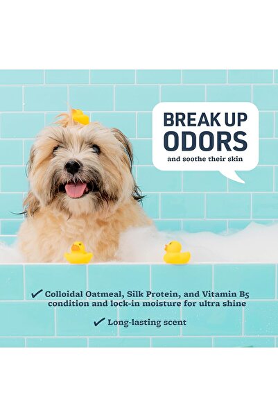 Veta Farm Veterinary Formula Smart Coat Soothing & Deodorizing Oatmeal Shampoo for Dogs, 17 Fl oz