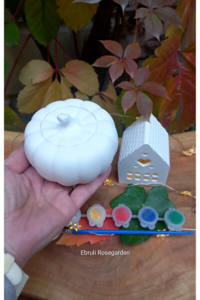 Ebruli Rosegarden Balkabağı Mumluk ve Ev Mumluk Beton 8 cm Kendin Yap Boyama ...