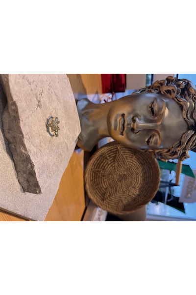 nunu takı خاتم نجمة مرصع بالأحجار