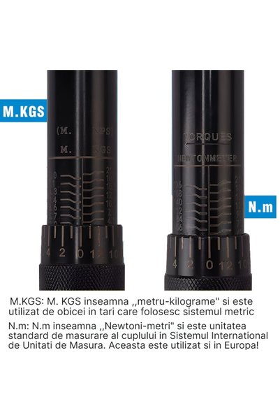 BiXXBi Cheie dinamometrică 3/8", 19-110 Nm, Crom-Vanadiu, Clichet cu eliberare rapidă,