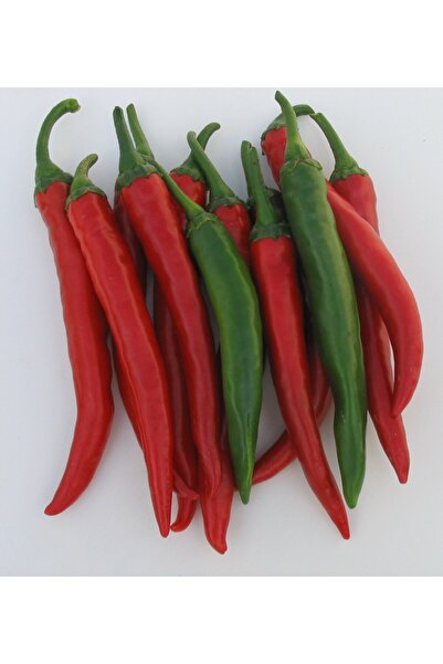 PROFIT SEEDS Seminte ardei iute GRISU F1 (250 sem)