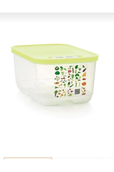 Tupperware 4.4 Liter Greenhouse Foliage Storage Container