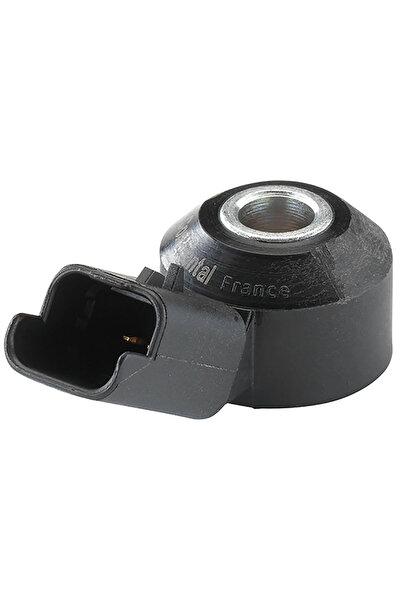 CONTINENTAL/VDO Senor Batai Citroen C3 Pluriel/C4 2/C5 1 Mini Mini