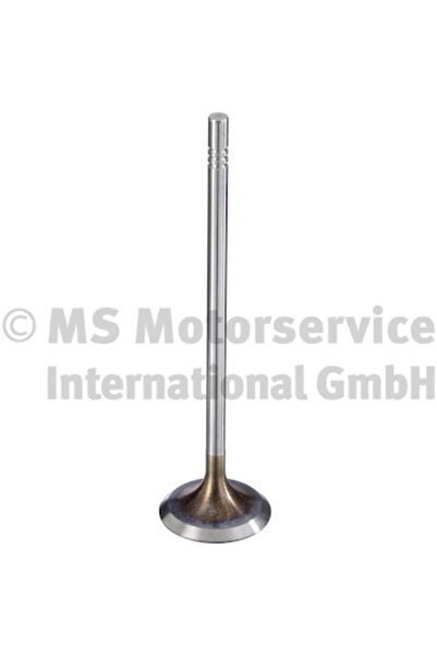 TRW Engine Component Supapa Admisie Audi A1/A3/Q2 Seat Arona/Ateca/Ibiza 5