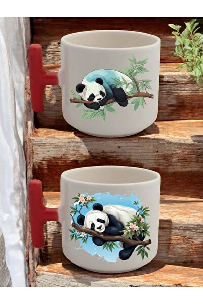 lili hediyelik Pandal 2-Piece Latte Cup Set - Birthday Gift, Gift for Lover, Gift for Mother, Gift for Father