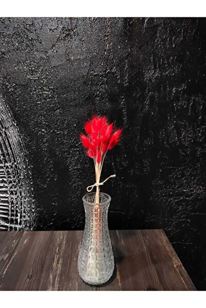 ÇINARASYADAHOME باقة عشب القطن المجفف الطبيعي (لاجوروس) باللون الأحمر، عشب ذي...