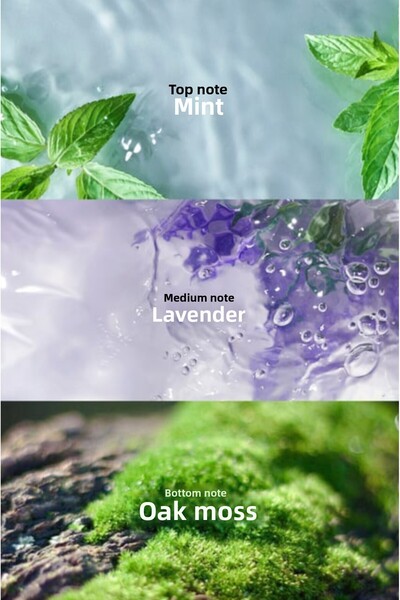 AVON AVON MUSK+ MARINE EAU DE TOILETTE