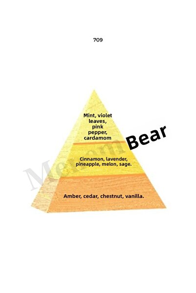 Bargello 561 + 709 Men's Perfume Edp 50 ml Fresh/Oriental