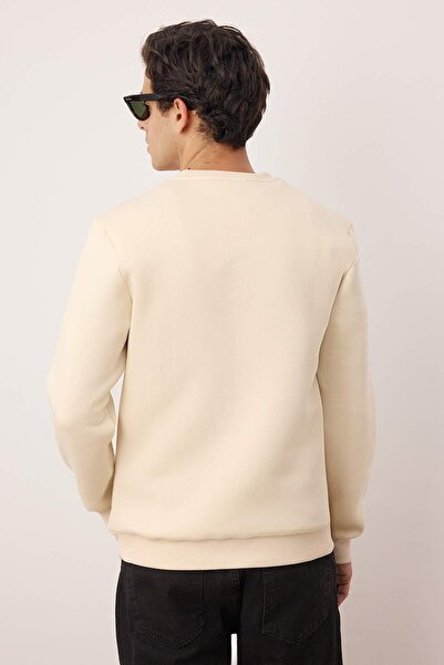 Trendyol Collection Stone Regular/Regular Cut Embroidered Fleece Inside Cotton Sweatshirt Tmnaw24Sw00127