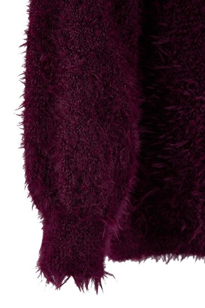 Trendyol Collection Pulover tricotat cu guler răsturnat, cu pene de prune, TWOAW25KZ00169