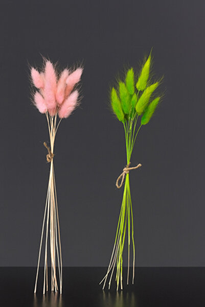 ÇINARASYADAHOME Buchet de iarbă naturală uscată de coadă de iepure, roz-verde...