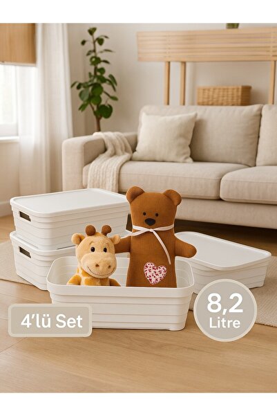 Nesto Home 4'lü Set Çok Amaçlı Renkli Kutu Kapaklı Ofis Organizeri 4x8.2 litre
