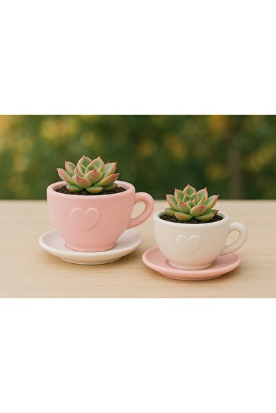 Genel Markalar 2'li El Yapımı Fincan Tasarımlı Saksı Seti - Handmade Taş Tozu Sukulent Mumluk Dekoratif Biblo 8 cm