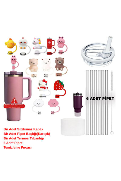 Stanley Quencher 1.18 LT 40 Oz Termos Aksesuar Seti – Pipet, Kapak, Temizlik ...