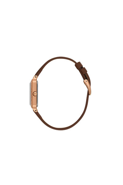 Daniel Klein Ceas Premium DK.1.13971.4