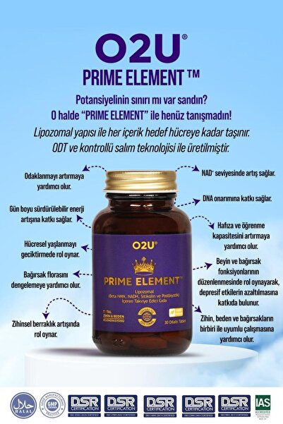 O2U Yaşamsal Enerji ve Zihin Performansı için Lipozomal(NMN + NADH + Sitikolin +Postbiyotik) 30 Dilaltı