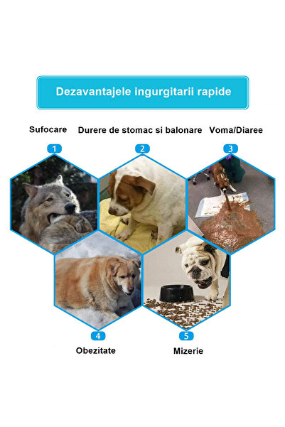 FizioTab Castron Hranire Lenta Caini FizioTab®, pentru Prevenirea Indigestiei, Slow Feed Bowl Interactiv, Ro