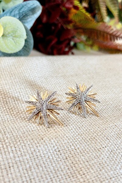 Petalia Kuzey Yıldızı Zirkon VIP Küpe