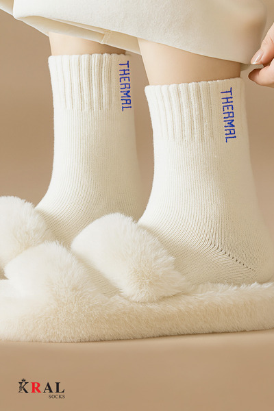 KRAL SOCKS Thermo Özellikli Bambu 2X Korumalı (5 Çift) Kadın Termal Renkli Kışlık Havlu Soket Çorap