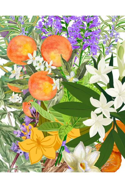 NA MORE Milano Allure Extrait Unisex Parfüm 50 ml | Çiçeksi & Odunsu & Oryantal | Orange Blossom, Tuberose, Sandalw