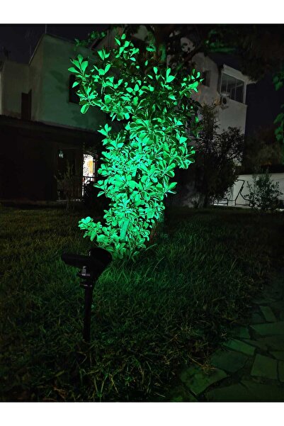 repplam 7W Solar Yeşil Led Bahçe Armatür Kazıklı Güneş Enerjili Çim Armatür Yer Aydınlatma 700 Lümen