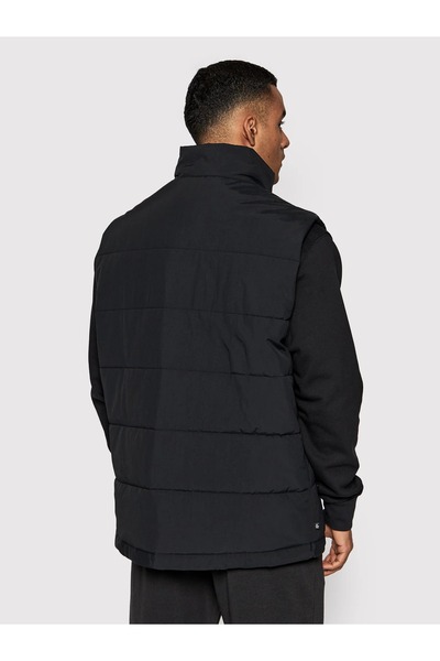 adidas Чоловічий чорний жилет (HC9496)