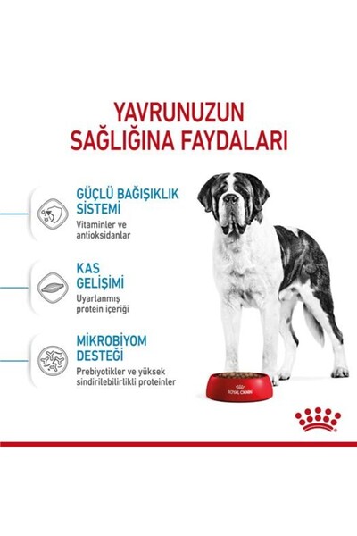 Royal Canin Giant Dev Irk Yavru Köpek Maması 15 kg