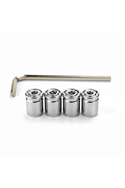 SPELT Gümüş Otomobil Araba Motosiklet 4'lü Sibop Kapak Seti