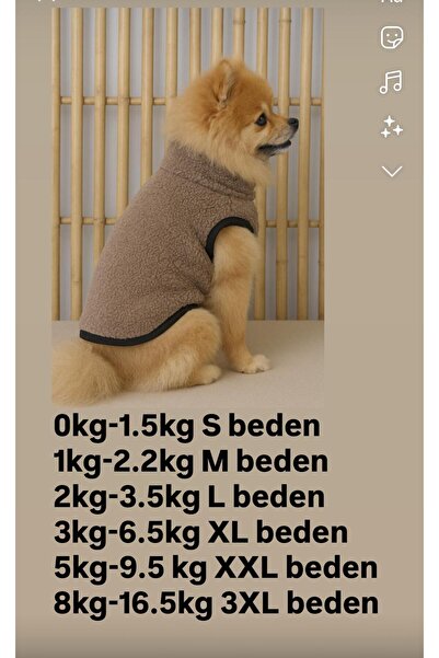 HKEVCİLPET Polar Ceket Kedi Köpek Kıyafeti