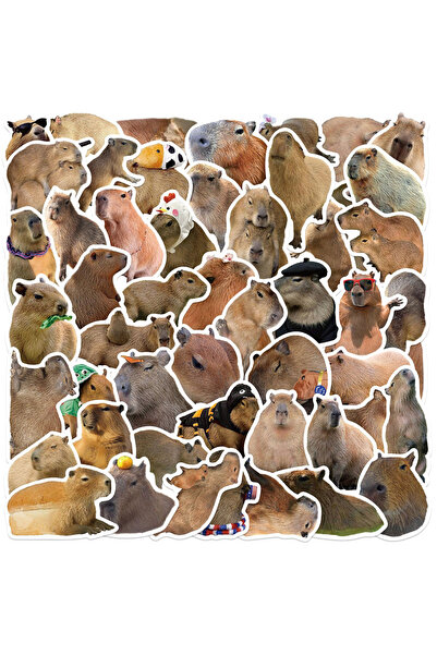 Choice1 50 قطعة 10/30/50 قطعة ملصقات كابيبارا اللطيفة ملصقات حيوانات كرتونية ...