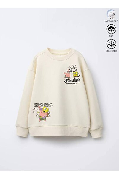 Daisy Dolly Boy's 3 Thread Non-Shardon Cotton Printed Sweatshirt