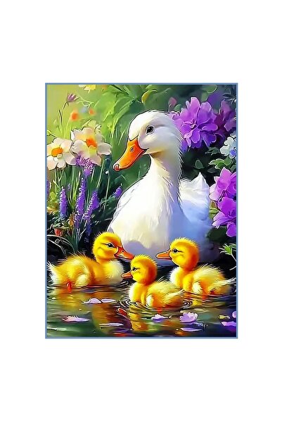 MATTELOT TOYS Set pictura pe numere Ratustele, Tablou pe sasiu 20 x 30 cm