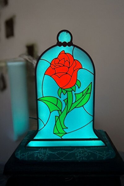 MEK Güzel ve Çirkin Tasarımlı Tasarımlı Gece Lambası Dekoratif Aydınlatma