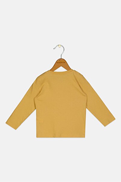 Sinsay Fox And Bunny By Toddlers Boy Long Sleeve Graphic Print T-Shirt, Dusty Yellow