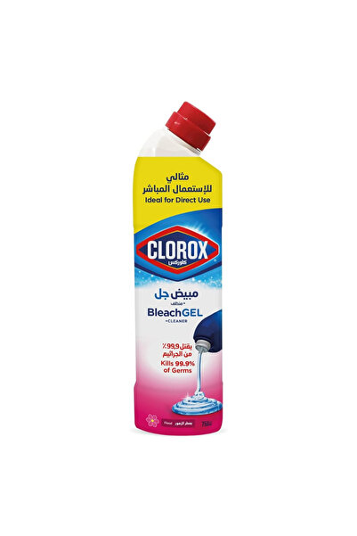 Clorox Bleach Gel and Cleaner, 750ml, Floral Magic
