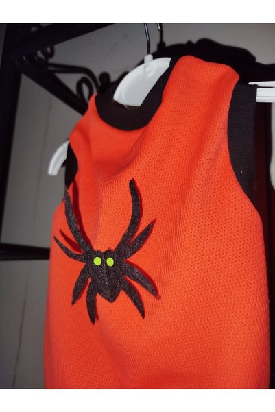 Winnie The Pet Cat & Dog Clothing 🎃   Witch& Halloween Costume