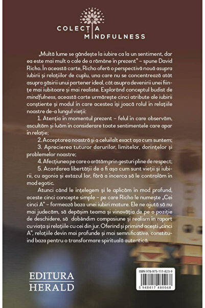 Editura Herald Mindfulness in relationships - 5 practical keys to maturing in relationships and love