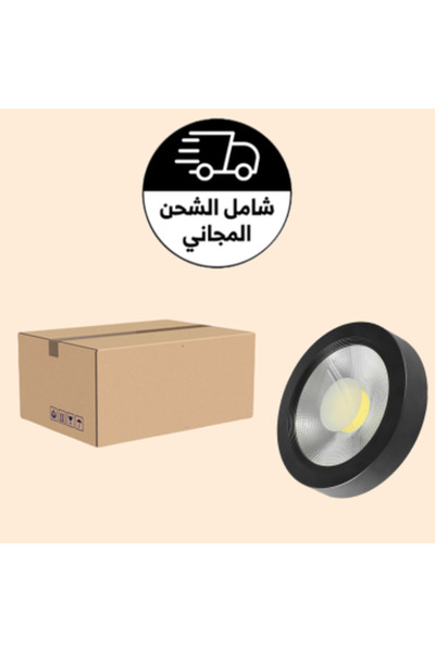 HAMER Carton of 20 pieces, 30 cm, 40 watts, 1 color, external spotlight, black body