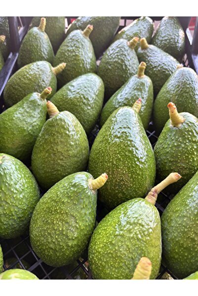 BRF TROPİKAL Avokado 1 kg