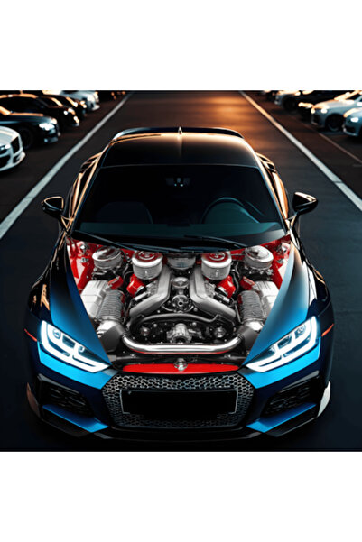 Avex Folie Capota Auto "Hood Art" rezistenta la exterior, marime L (180 x 130...