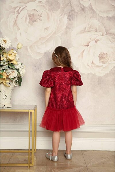 Miss Lorin Kids Children's Lace Christmas Dress