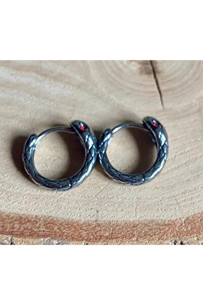 Viking Snake Design Red Stone Hoop Threadable 316L Stainless & Tarnish-Free Steel Earrings Pair
