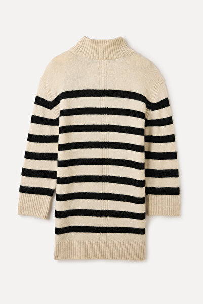 Mudo Stripe Collar Mini Sweater Dress
