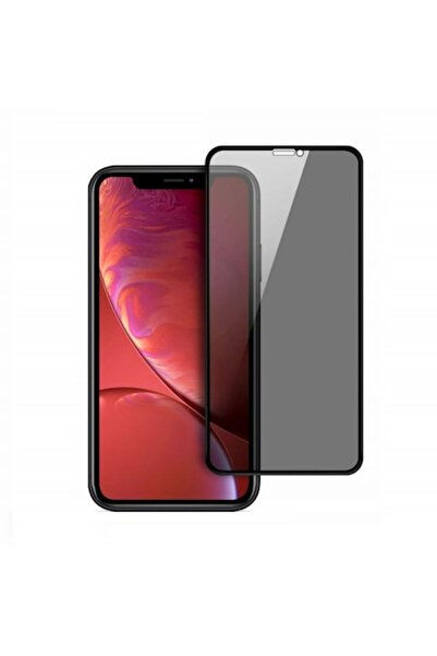 isag Folie protectie din sticla Privacy, compatibila cu iPhone XR, cu lipici ...