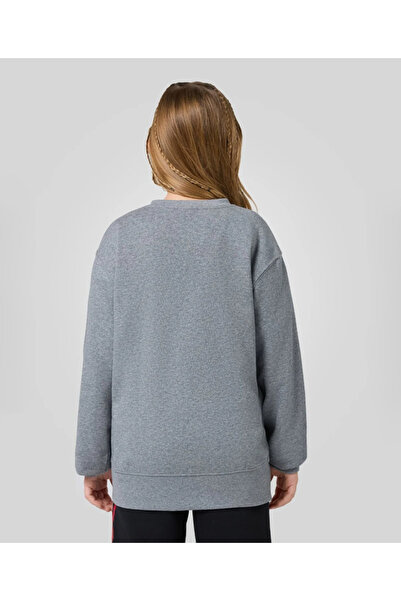 Nike Παιδικό φούτερ JORDAN BROOKLYN FLEECE ΓΚΡΙ ΔΙΠΛΟ ΝΗΜΑ 95D389 95D389-GEH