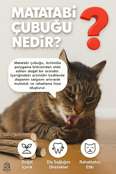 KEFA STORE MATATABİ - 5Lİ MATATABİ STİCK - KEDİ AĞIZ SAĞLIĞI VE RAHATLAMA