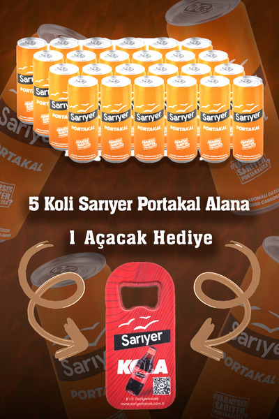 SARIYER Portakal 330 ml X 24'lü