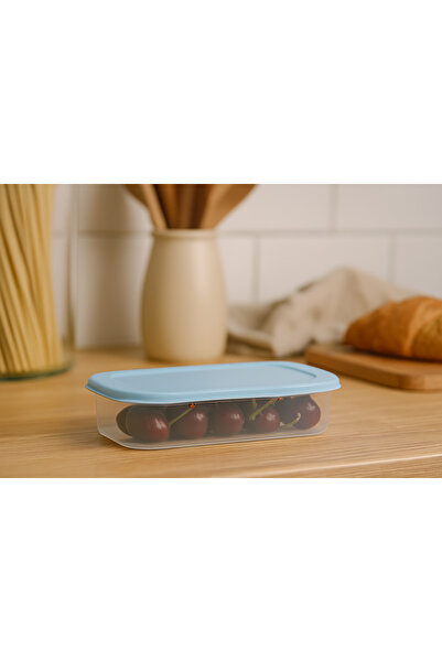 Süper Home Elegant Blue Lid Storage Container 1 Piece Bpa Free